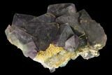 Purple-Green Octahedral Fluorite Crystal Cluster - Fluorescent! #142372-1